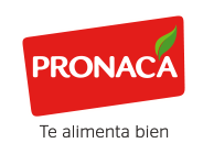 Logo Pronaca
